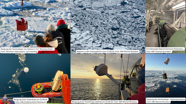Bild oben links: Bergung der Kameraboje von Station 1 mit “Mummy Chair”, 
Foto: Northern Helicopters Jack Harding
Bild unten links: Bergung einer Ozeanboje am 21.08.25.
Foto: AWI Stefanie Brechtelsbauer
Bild oben Mitte: Meereis in der Eisarandzone vom 21.08.25. Foto: AWI Marcel Nicolaus 
Bild unten Mitte: Bergung einer Ozeanboje (iAOOS) am 21.08.25. Foto: AWI Marcel Nicolaus 
Bild oben rechts: Antriebswelle Maschinenraum Polarstern, 
Foto: AWI Thomas Krumpen 
Bild unten rechts: Bergung der Kameraboje - Seitenaufnahme
Foto: AWI Marcel Nicolaus