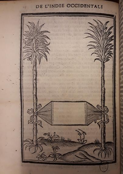 Image gravée sur bois d'un hamac attaché entre deux arbres qui sont peut-être des palmiers. Pour que le dessin soit plus explicite, le hamac est comme vu du dessus, déployé.