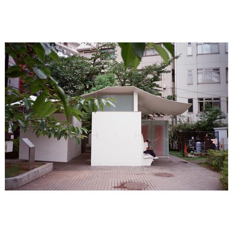 Some leaves peek into the image from the top left corner. The main subject of the image is the toilet building, which consists of two white cubes topped with a light, white roof reminiscent of traditional Japanese roofs.