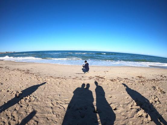 A person sits on a sandy beach looking at the ocean, with waves coming ashore under a clear blue sky. In the foreground, shadows of two people taking the photo stretch across the sand towards the person sitting.