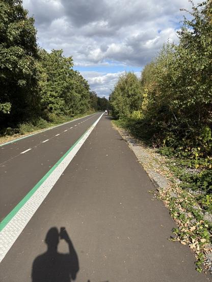 Ein asphaltierter Fahrradweg verläuft durch einen grünen Wald, gesäumt von Bäumen und Büschen. An der linken Seite ist eine grüne Markierung, die den Fahrradweg vom restlichen Weg abtrennt. Auf dem Weg sind Menschen sichtbar. Über dem Szenario schweben dunkle Wolken am blauen Himmel.