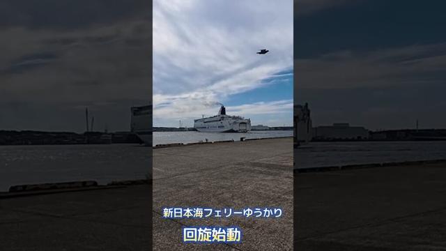 ******** 新日本海フェリー「ゆうかり」新潟港寄港のため旋回を始動 ********shorts