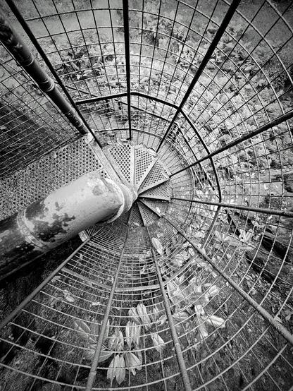 A high-angle, black and white shot looking down a spiral staircase made of rusted metal grating. The staircase corkscrews downwards, surrounded by a metal cage-like structure. Leaves and debris are visible on the ground beneath the stairs. The image has a stark, textured, and slightly disorienting feel due to the wide-angle perspective.