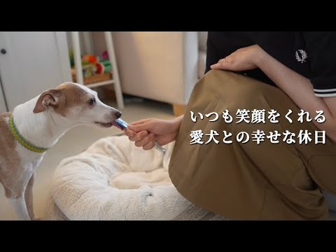 30代夫婦と犬2匹の暮らし。いつも笑顔をくれる愛犬との幸せな夏の終わりの休日