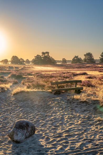 Im Vordergrund ein Fels im Sand und eine Standfläche. Weiter im Hintergrund eine Holzbank und dahinter die Heidefläche. Lila Blüten und gelbe Grasflächen  Im Hintergrund einige Bäume und Nebel. Dahinter der wolkenlose Himmel unten gelborange und oben ins blaue verlaufend. An der linken Seite der Sonnenschein beleuchtet den Rand des Bildes.