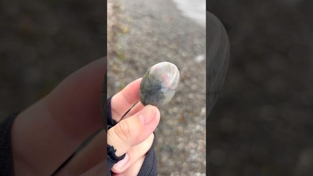夏休み最後の海⑦ #鉱物 #鉱物採集 #石拾い #ビーチコーミング #beach #海 #瑠璃の宝石 #瑪瑙 #minerals #天然石#夏休み#自由研究