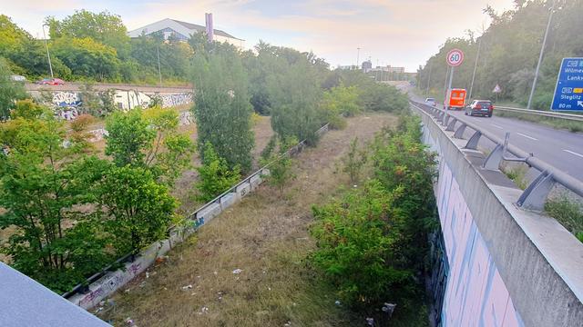Mit Bäumen und Gras bewachsene Anschlussstelle der ehemals geplanten Autobahn "Westtangente" in Berlin.