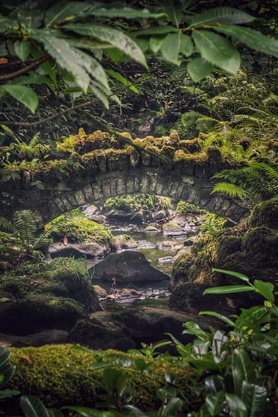 A vertical, eye-level shot of an old, moss-covered stone bridge arching over a small stream in a dense, green forest. The bridge and surrounding rocks are covered in thick green moss, and the water flows over dark stones. Lush ferns and other foliage frame the scene from the foreground, with leaves hanging from above, creating a sense of a hidden or secret place.
