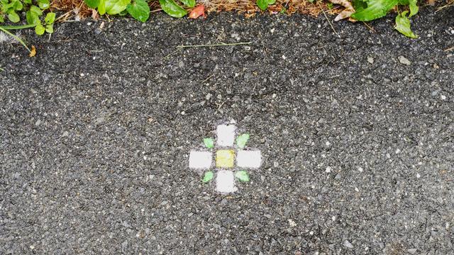 A sidewalk stencil of a pink flower with a yellow center and green leaves, and a cross-shaped pattern. There are green and brown leaves above the image.