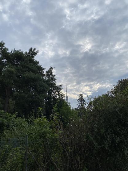 Fernsehturm vom elbradweg aus