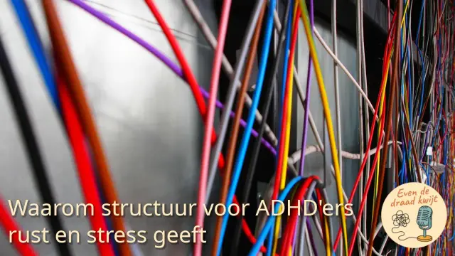 gekleurde kabels en de tekst "Waarom structuur voor ADHD'ers rust en stress geeft"