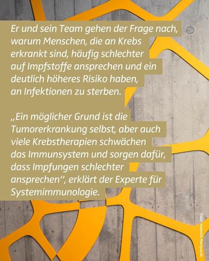 Graue Wand mit gelber Zellstruktur. Text im Bild: Er und sein Team gehen der Frage nach, warum Menschen, die an Krebs erkrankt sind, häufig schlechter auf Impfstoffe ansprechen und ein deutlich höheres Risiko haben, an Infektionen zu sterben. "Ein möglicher Grund ist die Tumorerkrankung selbst, aber auch viele Krebstherapien schwächen das Immunsystem und sorgen dafür, dass Impfungen schlechter ansprechen", erklärt der Experte für Systemimmunologie.