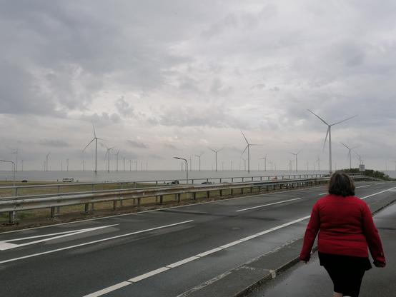 Offshore-Windkraft-Anlage im IJsselmeer.