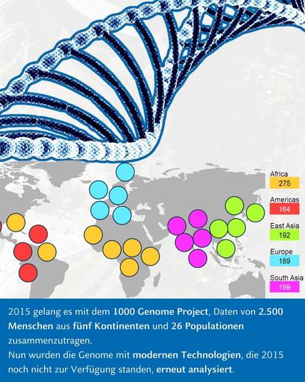 Grafik eines DNA-Strangs. Darunter ist eine Weltkarte mit verschiedenen Markierungen zu sehen. Darunter steht: 2015 gelang es mit dem 1000 Genome Project, Daten von 2500 Menschen aus fünf Kontinenten und 26 Populationen zusammenzutragen. Nun wurden die Genome mit modernen Technologien, die 2015 noch nicht zur Verfügung standen, erneut analysiert.