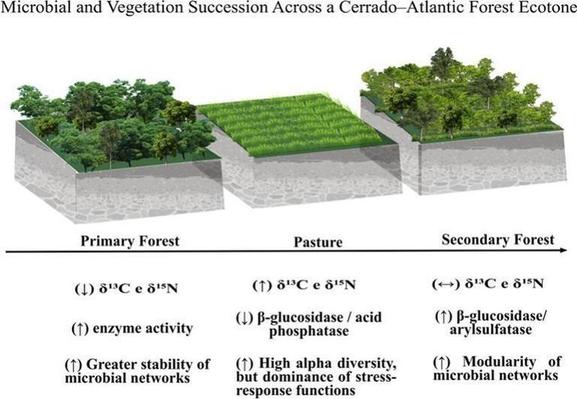Graphical abstract Muchalak et al. (2025).