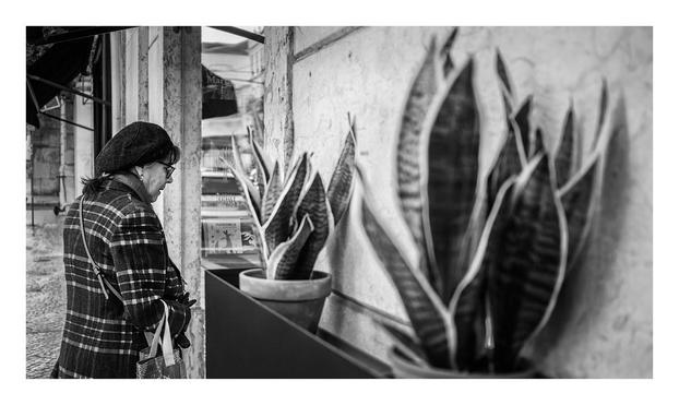 <a href="http://www.silvacordeiro.com" rel="noreferrer nofollow">www.silvacordeiro.com</a>