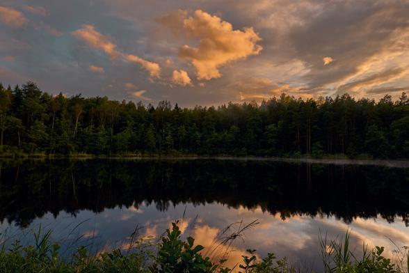 A tranquil lake reflects a colorful sky adorned with clouds at sunset, surrounded by dense green forest and vegetation along the water's edge.
