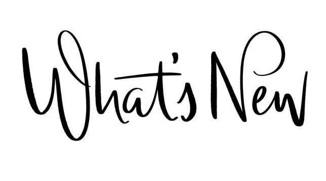 Black handwritten script on a white background spells “What’s New” with elegant, looping lines and varying thickness, giving the text an artistic and modern feel.