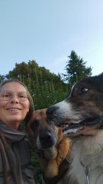 Zu sehen die Köpfe rechts eines bunten CR Bucovina-Herdenschtzhundes, in der Mitte der Kopf eines Senior-Malinois und links eine Frau. Sie lächelt. Im Hintergrund ist sommerlicher Bewuchs zu sehen.