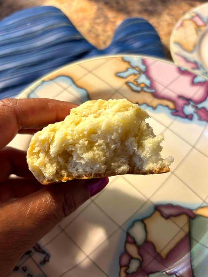 Remnant of one of the oopsie scones: Was hungry so I ate one of the oopies. Mind usually look flaky-ish  this one is more cake like. Still good.