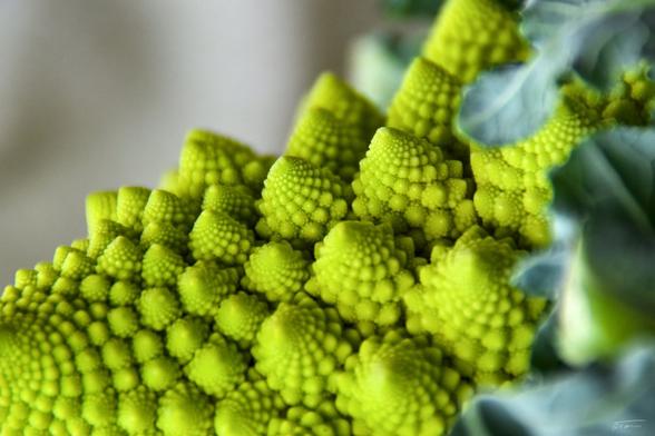 Das Foto zeigt eine Nahaufnahme von Romanesco, einem besonderen Gemüse, das durch seine auffällige, fraktalartige Struktur bekannt ist. Die Oberfläche besteht aus vielen kleinen, pyramidenförmigen, hellgrünen Knospen, die in einer spiralförmigen Anordnung wachsen. Die Farbe ist ein lebhaftes Grün, und die Textur wirkt fast geometrisch. Romanesco sieht aus wie eine Mischung aus Blumenkohl und Brokkoli, hat aber eine einzigartige, fast mathematische Form.