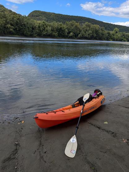 Orange sit-on-top kayak on river shore