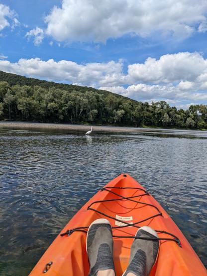 My feet at bow of orange kayak with a Great Egret in the distance across water