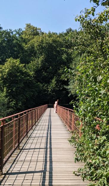 Rose Woman on a rose bridge