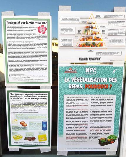 Photo montrant un affichage installé lors des Universités d’Été du NPA – L’anticapitaliste, montrant, à droite, une affiche sur la végétalisation des repas et la pyramide alimentaire végétale issue du site « Vegan Pratique », et à gauche deux de mes fiches consacrées à la vitamine B12, l’une qui fait un point sur la question de la B12 en général et l’autre qui remet en question l’idée reçue que les personnes végé ou véganes seraient les seules à se complémenter parmi la population générale.
