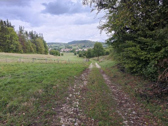 Un chemin carrossable en pente douce, avec des arbres et une prairie, au loin le village d'Évosges et des reliefs boisés. Le ciel a des nuages gris et bleu foncé.