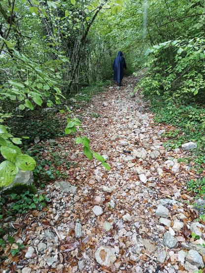 Un chemin caillouteux dans les bois, sous la pluie, avec une personne de dos recouverte d'une cape de pluie bleu marine en train de marcher.