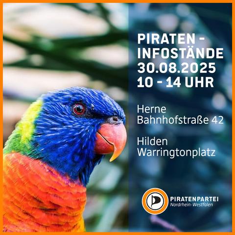 Bildtext: 
Pirateninfostände 30.08.2025, 10 - 14 Uhr:
Herne, Bahnhofstraße 42.
Hilden, Warringtonplatz
Piratenpartei Nordrhein-Westfalen.
Bild: Die Nahaufnahme eines Lori-Papageis mit rötlichem Schnabel, tiefblauem Kopf, grün-gelbem Nacken und leuchtend orange-rotem Körper.