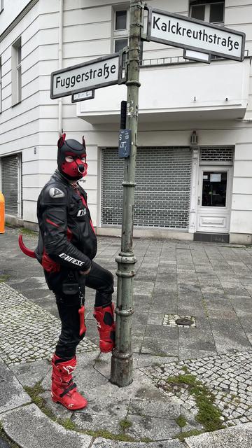 A leather dog lifting it’s leg by a street corner.
