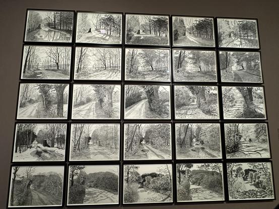 Ein Raster von Zeichnungen von 5 Orten in 5 Jahreszeichnungen