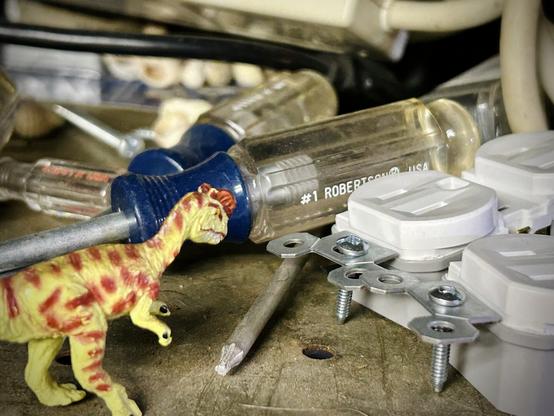 A green Dilophosaurus with brown spots stands on a dirty shelf beside two replacement electrical sockets. A few screwdrivers are before them alongside tangles wires from power strips. Several small seashells from a long abandoned project are hidden in the background.