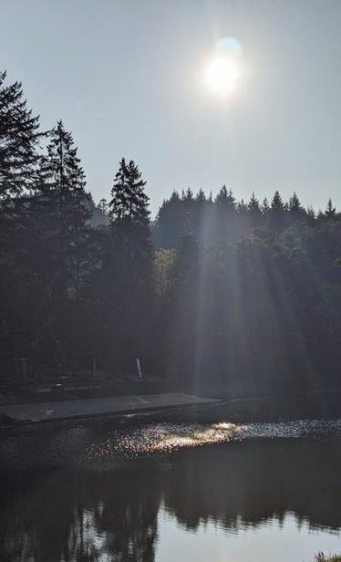 Sun lights on the Semois