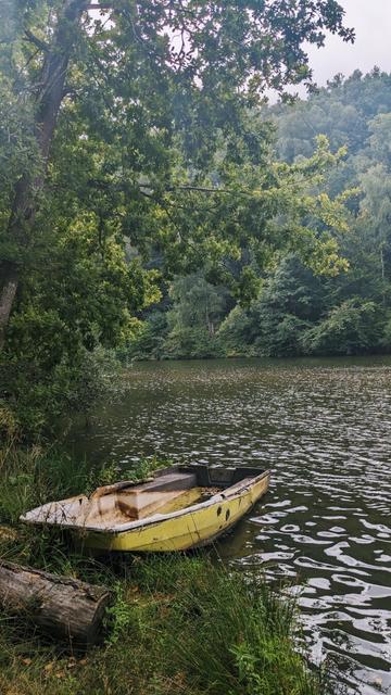 Yellow small bark on the side of the Vierre