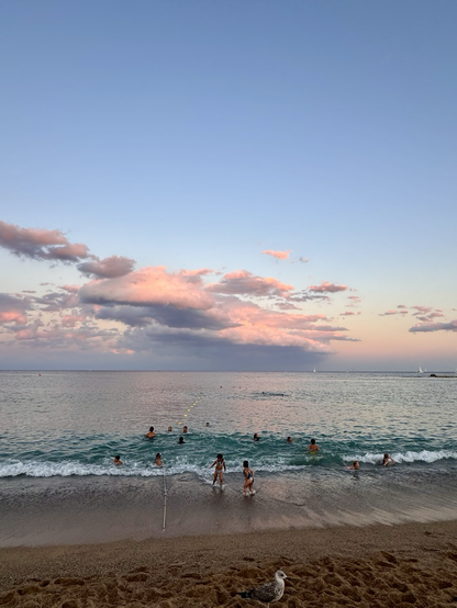 Children and a few adults enjoy a sunset swim beneath pink-blue skies at Platja de la Barceloneta, with a sea gull in foreground