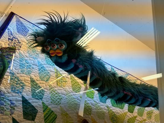 A long furby plush that’s black and teal. It has 3 eyes and 2 mouths and is suspended from the ceiling and is in front of a quilt.