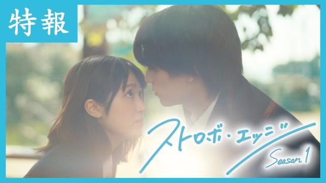 特報 ／ ストロボ・エッジ  Season１【WOWOW】