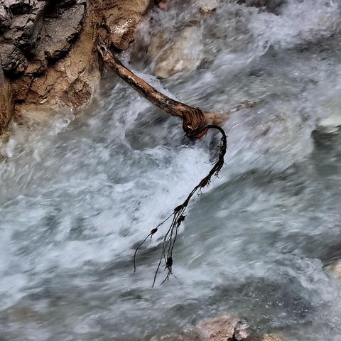 Roaring water with eddies between brown rocks. A branch smoothed by the water protrudes into the water.