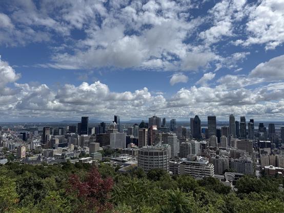 A panoramic view of a city skyline, featuring modern skyscrapers and buildings set against a backdrop of blue sky and fluffy white clouds. Lush greenery is visible in the foreground.