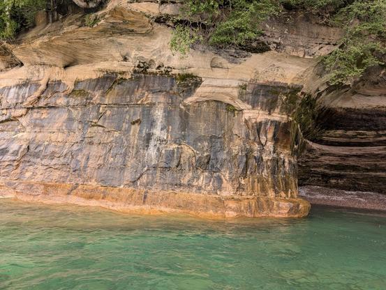 A picture taken from the water of a maybe 30ft cliffside that arches outward near the top as the water has carved scoops out of the face. The shallow looking water is quite green and you can see the sandstone mudstone flats beneath. The rock face is banded with dark black and brown flakes/stripes along with the light sandy brown tones at different layers. The over-cropping has various shrub and tree branches hanging off as much as they can, you can make out some spots of lichen growth and depending on where you look you may be able to spot some fungi but they may not be as visible in this particular image.