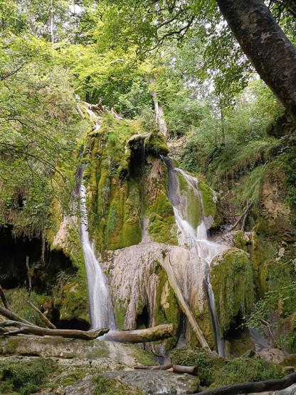 Photographie numérique couleur en format portrait, avec une cascade multiple vue du lit en contrebas. Elle descend le long de parois calcaires en partie recouvertes de mousse. Des troncs d'arbres un peu partout dans le lit de la rivière et des arbres autour.