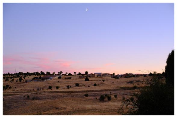 Pink sky with the moon.