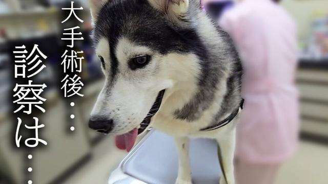 大手術後の初めての病院で...