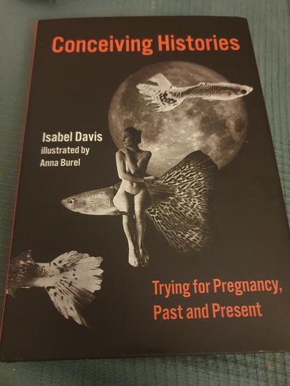 Buchcover: Conceiving Histories. Trying for Pregnancy, Past and Present. Von Isabel Davis. Illustriert von Anna Burel
