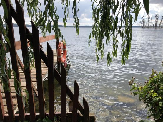 Dunkel im Vordergrund ein schräg nach oben zulaufender  Lattenzaun vor einem Steg am Ufer. Weidenzweige hängen herab. Das Wasser am Ufer blau-grün leicht wellig.