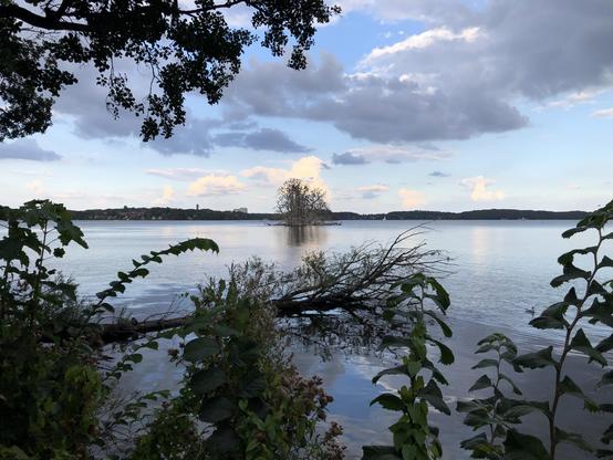 Dunkle Zweige von unten und oben. Dazwischen kalt blaues Wasser. Ein umgefallener Baum liegt quer im Wasser. Gelblich spiegelt sich die kleine Insel mit toten Bäumen. Dunkler Horizontstreifen.
