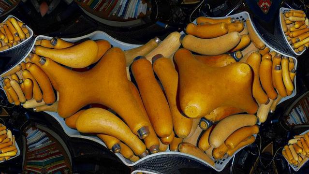 Ein Foto von Feilenheften, die nun aussehen wie ein Korb voller Würste.

A photo of file handles that now look like a basket full of sausages.